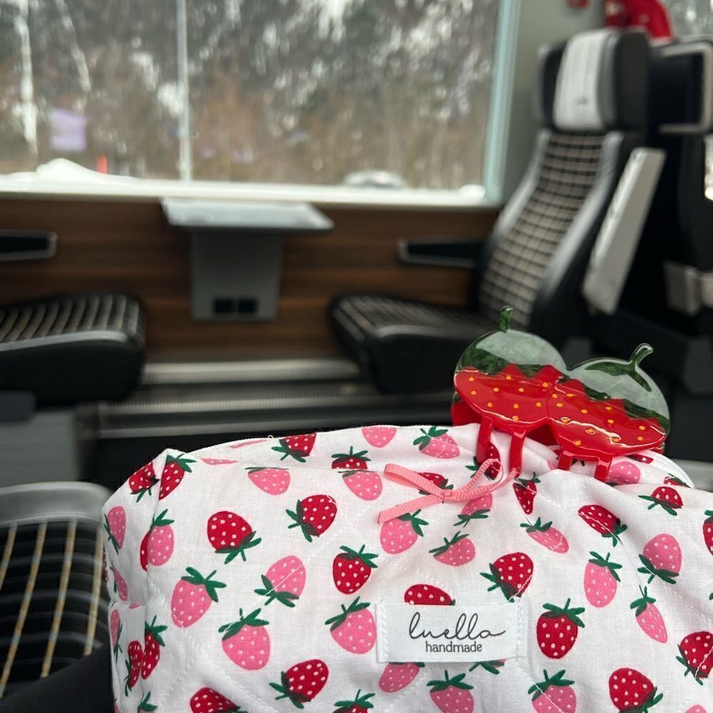 LUELLA makeup bag